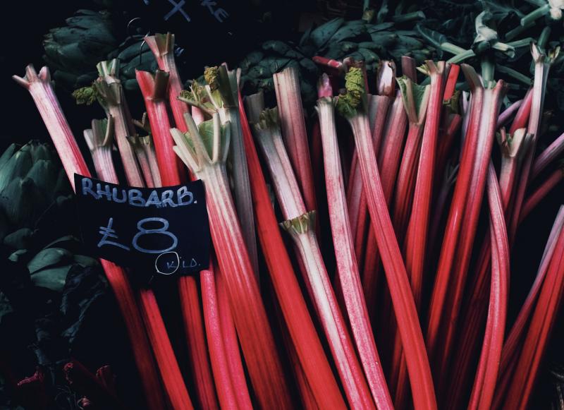 Rhubarb & “The Rhubarb Triangle”, Yorkshire - The Quiet Crop That Put Yorkshire on the Map Header Image