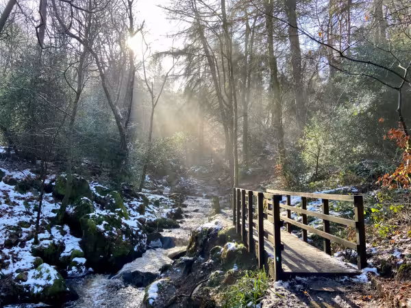 Wymingbrook Nature Reserve, Sheffield